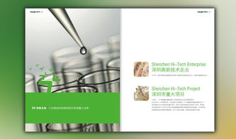 深圳博泰生物画册设计 专业品牌形象塑造的引领者